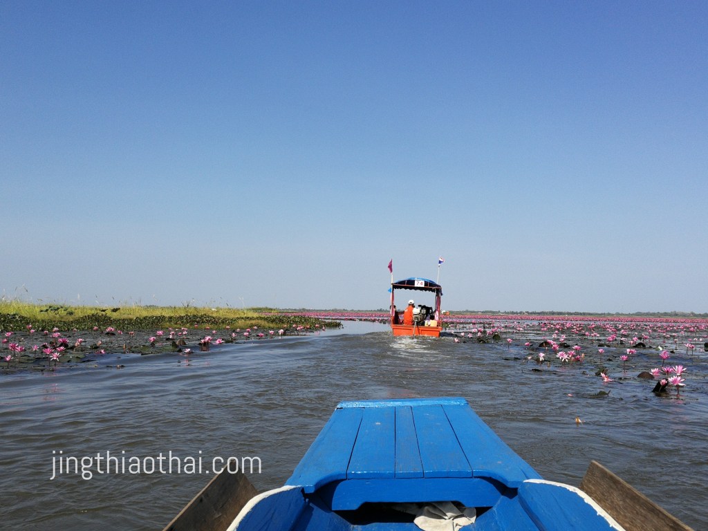 紅蓮花海_大小船